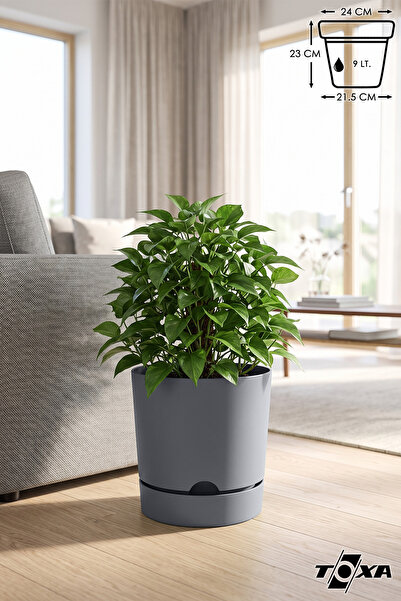 ToXA 9 Litre Gri Begonya Saksı Tabaklı Dekoratif Mat Plastik Saksı