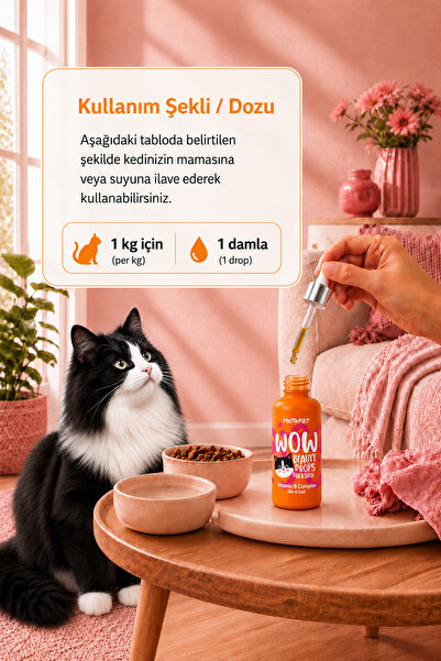 Metapet Kediler için Tüy Dökümü Önleyici, B Complex Vitaminleri Dökme Damlası, Tüy Dökülmesi Biotin ve Çinko
