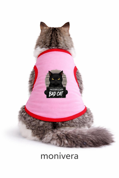 Modetra New Season Summer Bad Cat Printed Colorful Piping Cat Outfit - Unders...