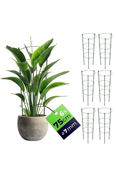 KADAX Inele de susținere pentru plante și flori 75cm Inele metalice de susțin...