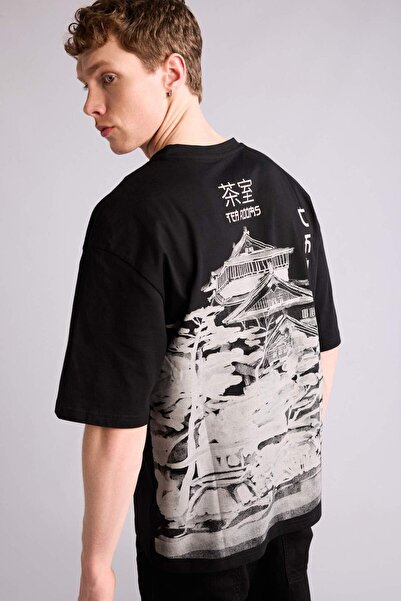 DeFacto 100% Βαμβακερό T-shirt με στάμπα σε φαρδιά γραμμή G5585AX26SM