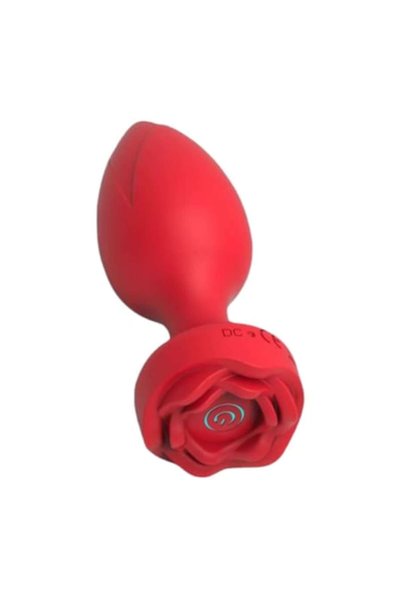 OEM Plug anal trandafiriu