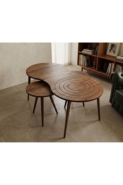 BAŞ ART SEHPA MDF 3'lü Orta ve Zigon Sehpa Takımı Set Modern Salon Sehpa Atla...