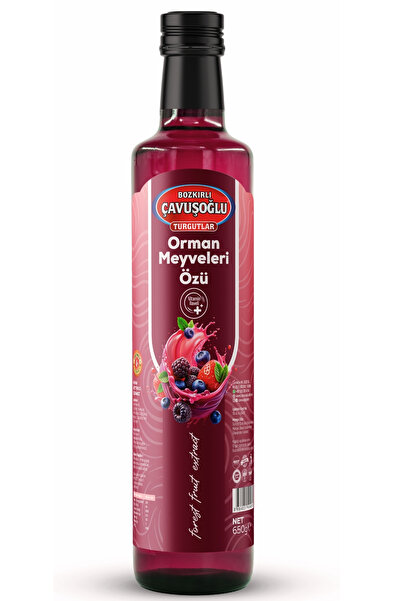 Bozkırlı Çavuşoğlu Orman Meyveleri Özü 650g