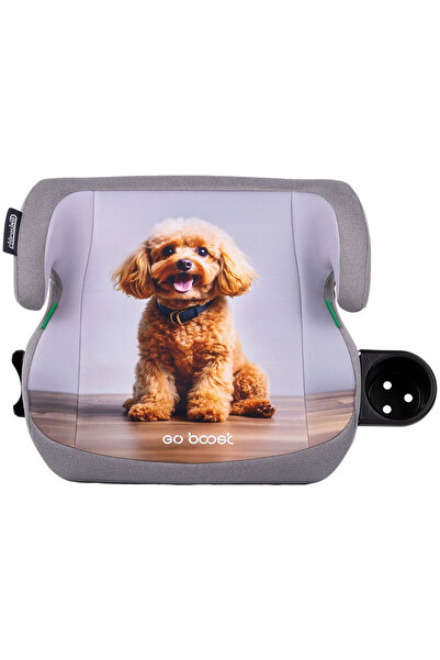 Chipolino Scaun auto înălțător Go Boost I-Size 125-150 cm poodle