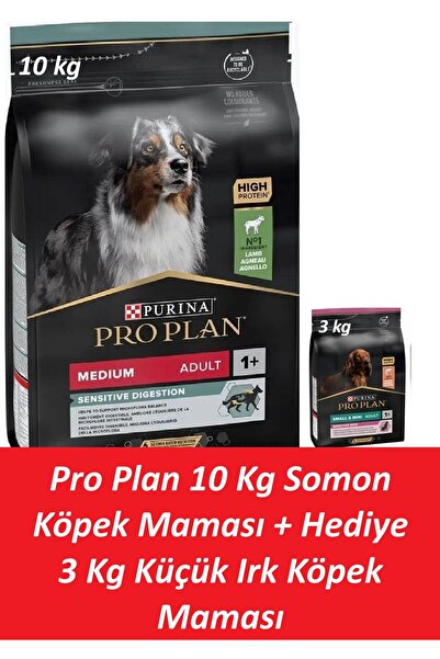 Pro Plan 10 Kg Somon Köpek Maması + Hediye 3 Kg Küçük Irk Köpek Maması