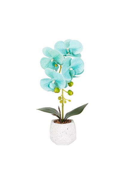 Naimeed Company -looking orchid in a ceramic pot, 41 cm, Naimeed D6886, Turqu...