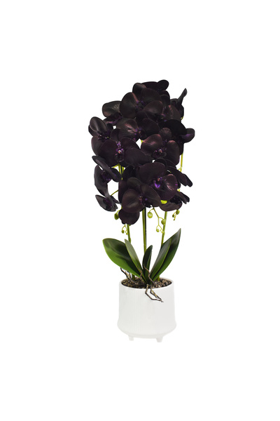 Naimeed Company Orhidee decorativă în ghiveci ceramic, 70 cm, Naimeed D4855, Mov