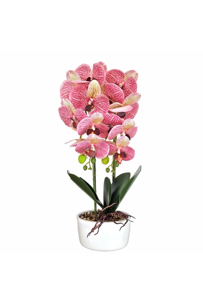 Naimeed Company Orhidee decorativă în ghiveci ceramic, 50 cm, Naimeed D5819, Mov