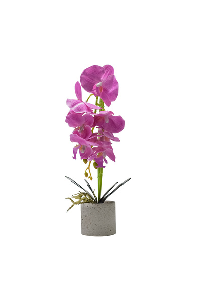 Naimeed Company Orhidee decorativă în ghiveci ceramic, 36 cm, Naimeed D4850, ...