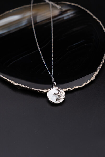 Serenite Collection Mirror Steel Necklace