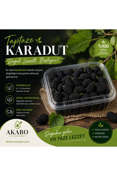 Akabo Avokado Karadut