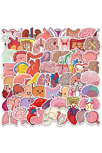Choice 65PCS 65PCS Cartoon Human Organ Cute Medical Anatomy Sticker Kid Toy D...