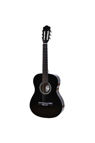 rapsodia reghin Classical Guitar Beginners Adults