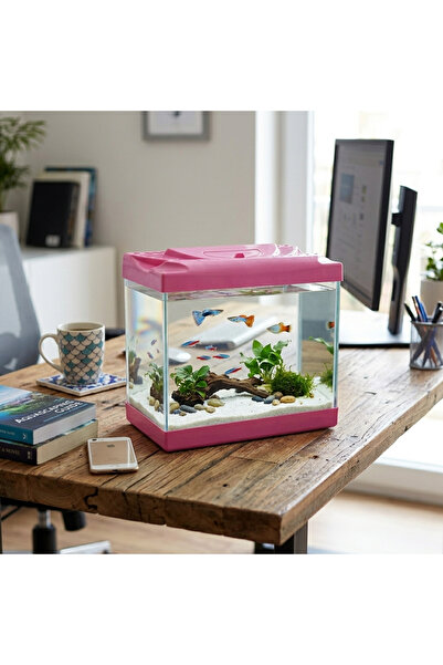 Dophin Premium Glass Desktop Aquarium Fish Tank with Removable Pink Lid and B...