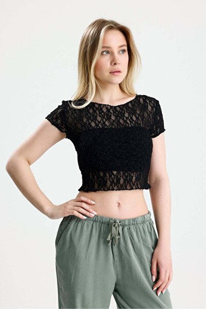 ROSE ARYA Black Lace Short Sleeve Crop