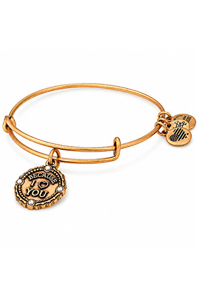 Alex and Ani Bratara Metal A18BILY04RG