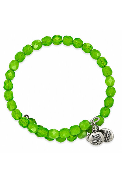Alex and Ani Resin Bracelet VW341RS