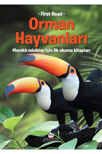 Beyaz Panda Yayınları Forest animals