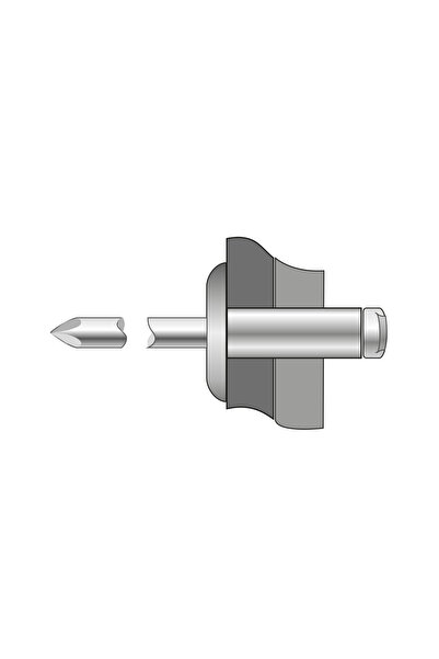 BRALO Set of 250 x Pop Rivets Aluminum Steel Wide Head 4.8 x 12 BR.1030004812S