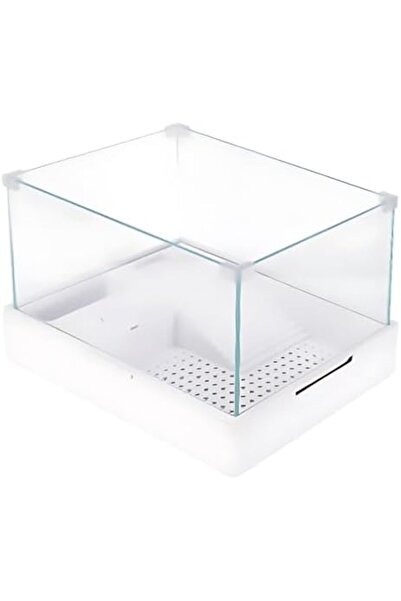 Yıldızan Srdshop Glass Turtle Garden with Filter and Lamp 40X29X25 cm 1249128