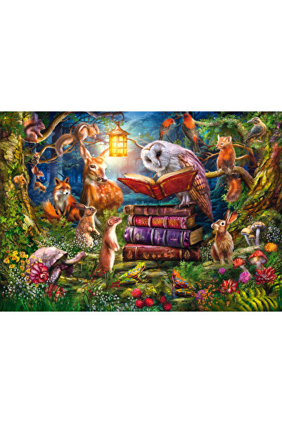 Schmidt Spiele Puzzle PQ 1000 O poveste de noapte G3