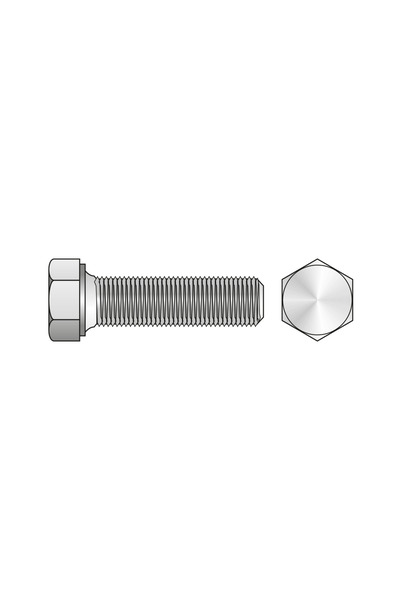 SCHAEFER Surub Cap Hexagonal Total Filetat 933 Inox A2-M16 X 130