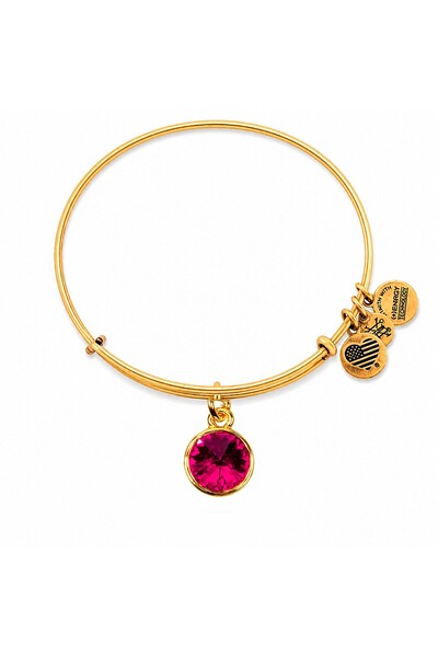 Alex and Ani ΓΥΝΑΙΚΕΙΟ ΒΡΑΧΙΟΛΙ A12EB241RG (19-25ΕΚ.)