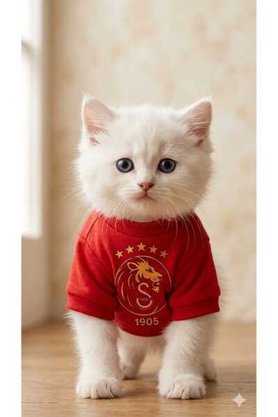 PATİZİSHOP PET MODA GS PET FUN T-SHIRT COLLECTION L BEDEN