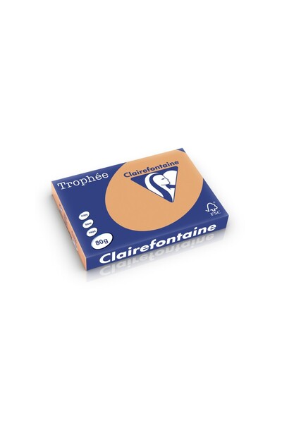 Clairefontaine Hârtie A3 80 g/m² culoare palidă 500 coli/reamă caramel