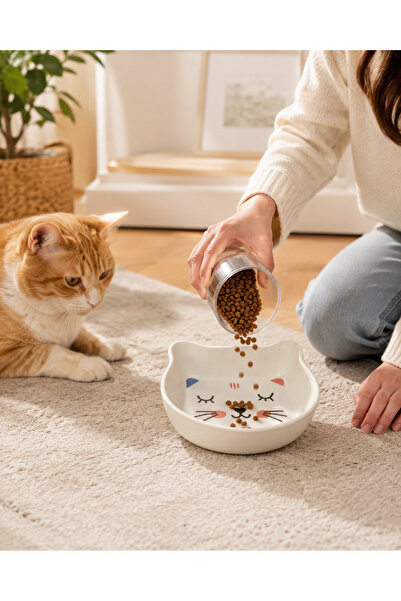 Kedi mama kabı şık tasarım kedi şeklinde