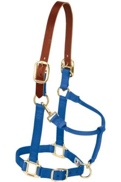 Yıldızan Terra Organik Leather Abtruennigen Original Adjustable Chin and Neck...