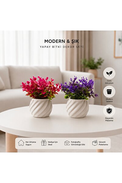 Evim de Evim Mor ve pembe yapraklı çiçek seti beton saksı ile premium raf ve ...