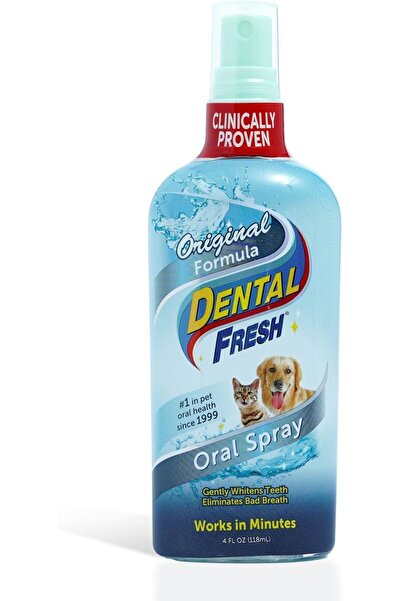 Dental Fresh Synergy Lab Spray