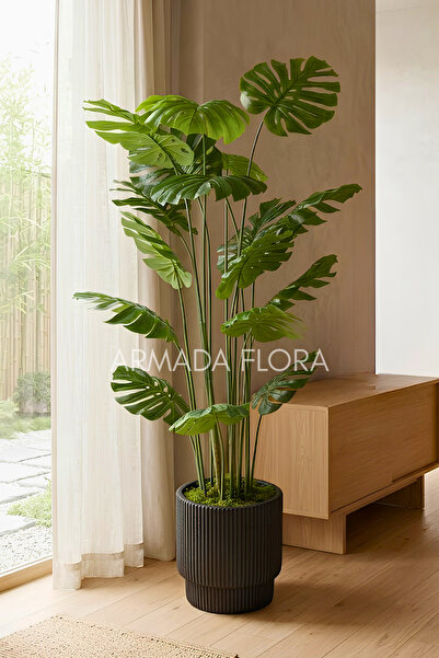Armada Flora Yapay Deve Tabanı Monstera Ağacı - Çizgili Saksılı