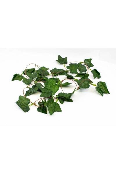 OEM Ghirlanda Frunze Mari Iedera Verzi 12/Set