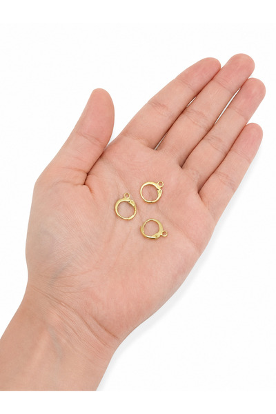 FlowerAksesuar 10 Adet - 12 mm Çelik Küpe Kancası, Çelik Küpe Klipsi, Çelik T...