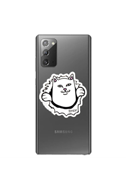 Other Samsung Note 20 White cat Transparent Silicone TPU Θήκη