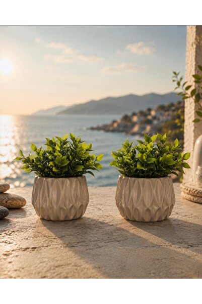 Evim de Evim 2 li bej prizma modern saksı ve yeşil bitki yaprak premium raf v...