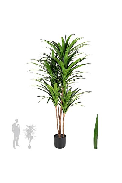 Roberto Rossi Dracaena artificial marginata cu 180 frunze verzi H150 cm