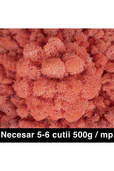 Roberto Rossi Licheni curatati si fara radacina conservati 500g NET, calitate...