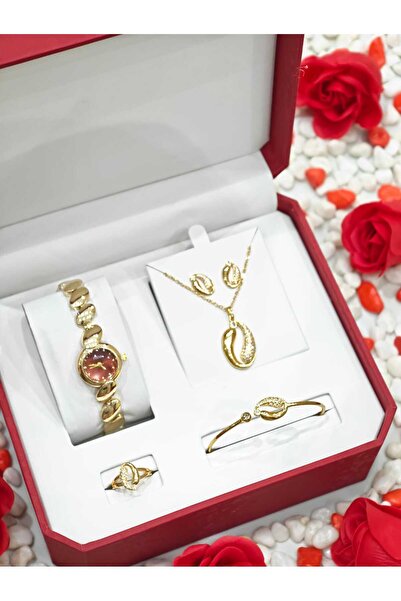 STRIVA Rose Gold Luxury Color Set Multi Watch Women's Accessories 5 Piece Set