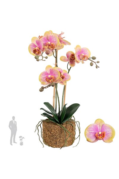 Roberto Rossi Orhidee artificiala galben cu roz cu aspect H53 cm cu 3 tulpini