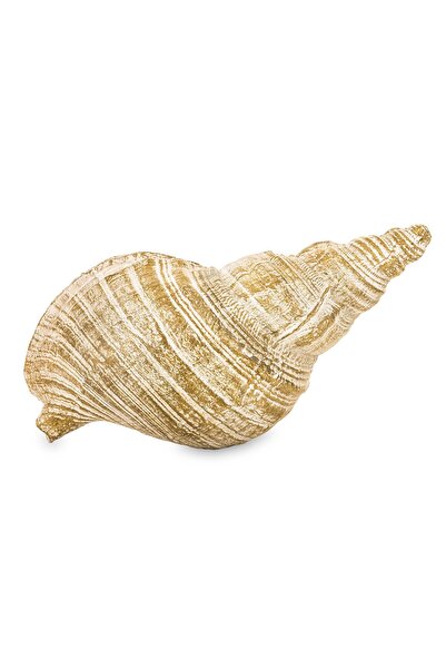 DecoDepot Ceramic shell decoration, 24x11x9 cm