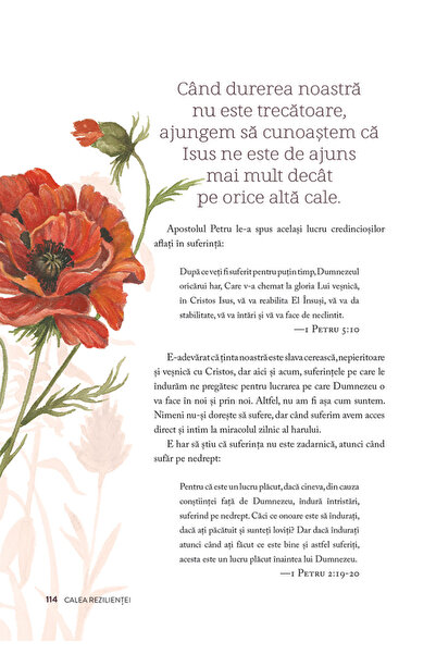 Editura Scriptum Pe calea florilor salbatice - Ruth Chou Simons