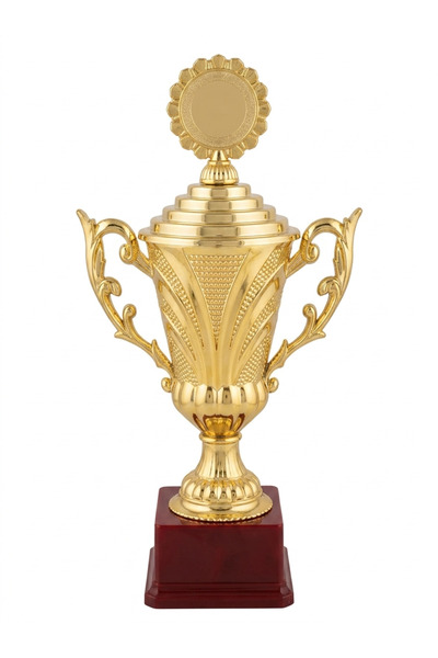 FWM Football Cup, Resin Decoration for Football Champions, Decorative Craft, ...