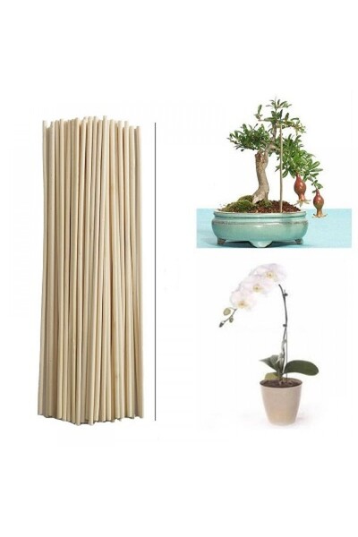 canlipetshop Saksı Bitkileri Destek Çubuğu 25 Cm 50 Ad