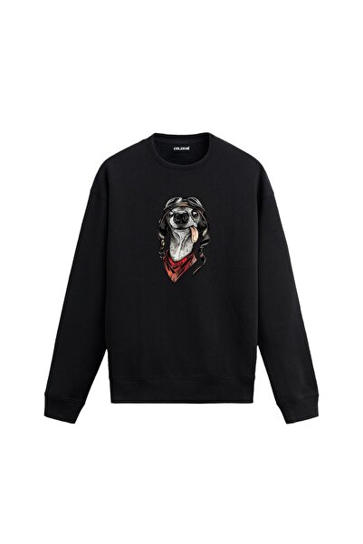 Colermi Cheerful Pilot Dog Sweatshirt