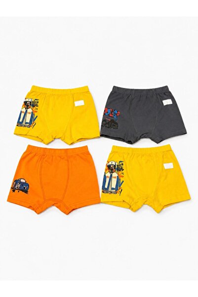 Poli Kids Yazlık erkek 4’li boxer seti