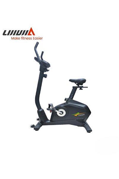 lijiujia Magnetic Bike Magnetic Bicycle